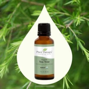 Organic Tea Tree oil