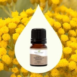 Helichrysum Italicum Essential Oil