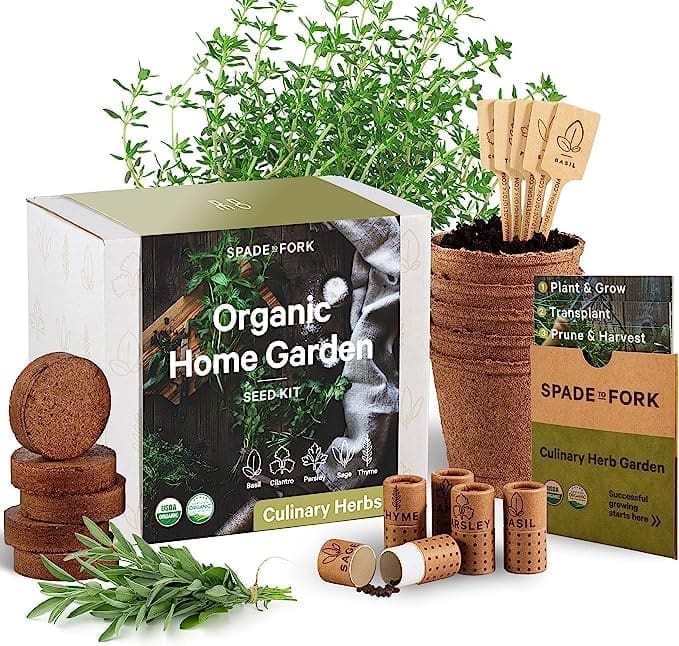 Organic home herb garden
