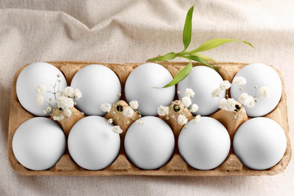 Cracking the Code: A Guide to Choosing the Best Eggs